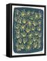 Navy Queen Anne Lace-Cat Coquillette-Framed Stretched Canvas