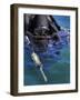 Navy Seal Combat Swimmer-Stocktrek Images-Framed Photographic Print