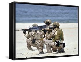 Navy SEALs Participate in a Capabilities Exercise-Stocktrek Images-Framed Stretched Canvas