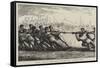 Navy Versus Army, the Tug of War at Hong-Kong-null-Framed Stretched Canvas