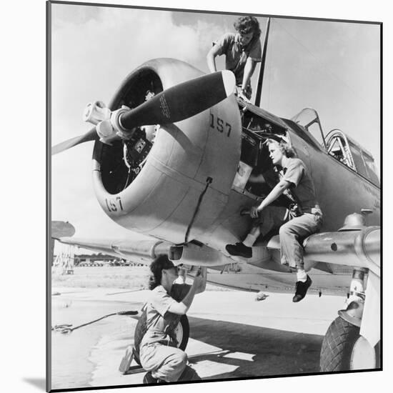 Navy Wave Aviation Machinist's Mates, Working on an North American Aviation Snj Training Plane-null-Mounted Photo