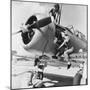 Navy Wave Aviation Machinist's Mates, Working on an North American Aviation Snj Training Plane-null-Mounted Photo