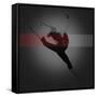 Canvas Black