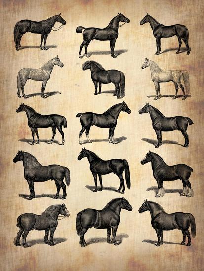 Art Print, , large