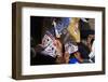 Naxi Women Playing a Local Game of Cards, Lijiang, Yunnan, China, Asia-Bruno Morandi-Framed Photographic Print