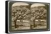 Nazareth, as Seen from the North-East, Palestine, 1900-Underwood & Underwood-Framed Stretched Canvas