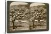 Nazareth, as Seen from the North-East, Palestine, 1900-Underwood & Underwood-Stretched Canvas