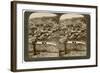 Nazareth, as Seen from the North-East, Palestine, 1900-Underwood & Underwood-Framed Giclee Print