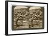 Nazareth, as Seen from the North-East, Palestine, 1900-Underwood & Underwood-Framed Giclee Print