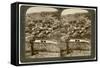 Nazareth, as Seen from the North-East, Palestine, 1900-Underwood & Underwood-Framed Stretched Canvas