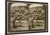 Nazareth, as Seen from the North-East, Palestine, 1900-Underwood & Underwood-Framed Giclee Print