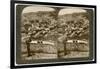 Nazareth, as Seen from the North-East, Palestine, 1900-Underwood & Underwood-Framed Giclee Print