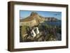 Nazca booby pair on coastal cliff, Wolf Island, Galapagos-Tui De Roy-Framed Photographic Print