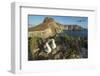 Nazca booby pair on coastal cliff, Wolf Island, Galapagos-Tui De Roy-Framed Photographic Print