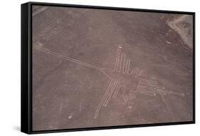 Nazca Lines-David Nunuk-Framed Stretched Canvas