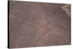 Nazca Lines-David Nunuk-Stretched Canvas