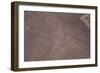 Nazca Lines-David Nunuk-Framed Photographic Print