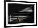 Gramercy Black