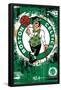 NBA Boston Celtics - Maximalist Logo 23-Trends International-Framed Poster