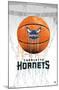 NBA Charlotte Hornets - Drip Basketball 21-Trends International-Mounted Poster