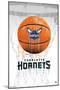 NBA Charlotte Hornets - Drip Basketball 21-Trends International-Mounted Poster