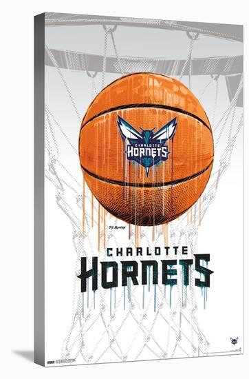 NBA Charlotte Hornets - Drip Basketball 21-Trends International-Stretched Canvas