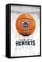 NBA Charlotte Hornets - Drip Basketball 21-Trends International-Framed Stretched Canvas