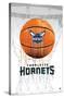 NBA Charlotte Hornets - Drip Basketball 21-Trends International-Stretched Canvas