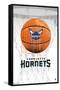 NBA Charlotte Hornets - Drip Basketball 21-Trends International-Framed Stretched Canvas