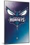 NBA Charlotte Hornets - Logo 14-Trends International-Mounted Poster