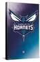 NBA Charlotte Hornets - Logo 14-Trends International-Stretched Canvas