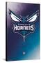 NBA Charlotte Hornets - Logo 14-Trends International-Stretched Canvas