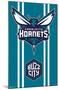 NBA Charlotte Hornets - Logo 20-Trends International-Mounted Poster