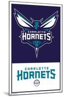 NBA Charlotte Hornets - Logo 21-Trends International-Mounted Poster