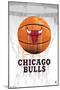 NBA Chicago Bulls - Drip Basketball 21-Trends International-Mounted Poster