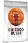 NBA Chicago Bulls - Drip Basketball 21-Trends International-Mounted Poster