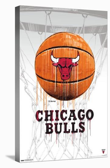 NBA Chicago Bulls - Drip Basketball 21-Trends International-Stretched Canvas