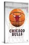 NBA Chicago Bulls - Drip Basketball 21-Trends International-Stretched Canvas