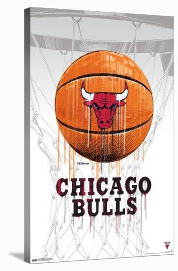 NBA Chicago Bulls - Drip Basketball 21-Trends International-Stretched Canvas