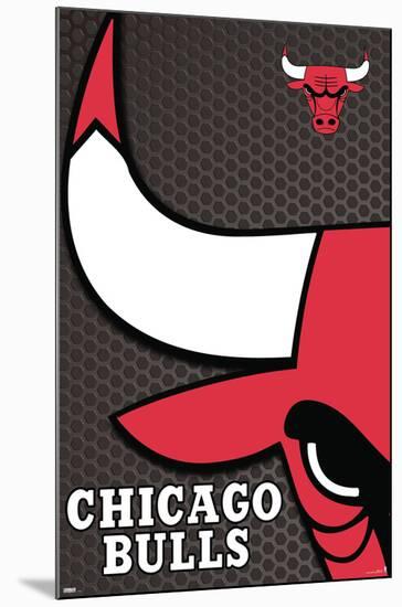 NBA Chicago Bulls - Logo 14-Trends International-Mounted Poster