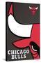 NBA Chicago Bulls - Logo 14-Trends International-Stretched Canvas