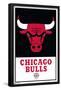 NBA Chicago Bulls - Logo 21-Trends International-Framed Poster