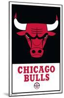 NBA Chicago Bulls - Logo 21-Trends International-Mounted Poster