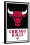 NBA Chicago Bulls - Logo 21-Trends International-Framed Poster