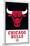 NBA Chicago Bulls - Logo 21-Trends International-Mounted Poster