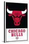 NBA Chicago Bulls - Logo 21-Trends International-Stretched Canvas