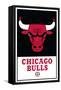 NBA Chicago Bulls - Logo 21-Trends International-Framed Stretched Canvas