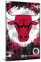 NBA Chicago Bulls - Maximalist Logo 23-Trends International-Mounted Poster
