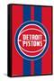 NBA Detroit Pistons - Logo 20-Trends International-Framed Stretched Canvas