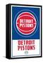 NBA Detroit Pistons - Logo 21-Trends International-Framed Stretched Canvas